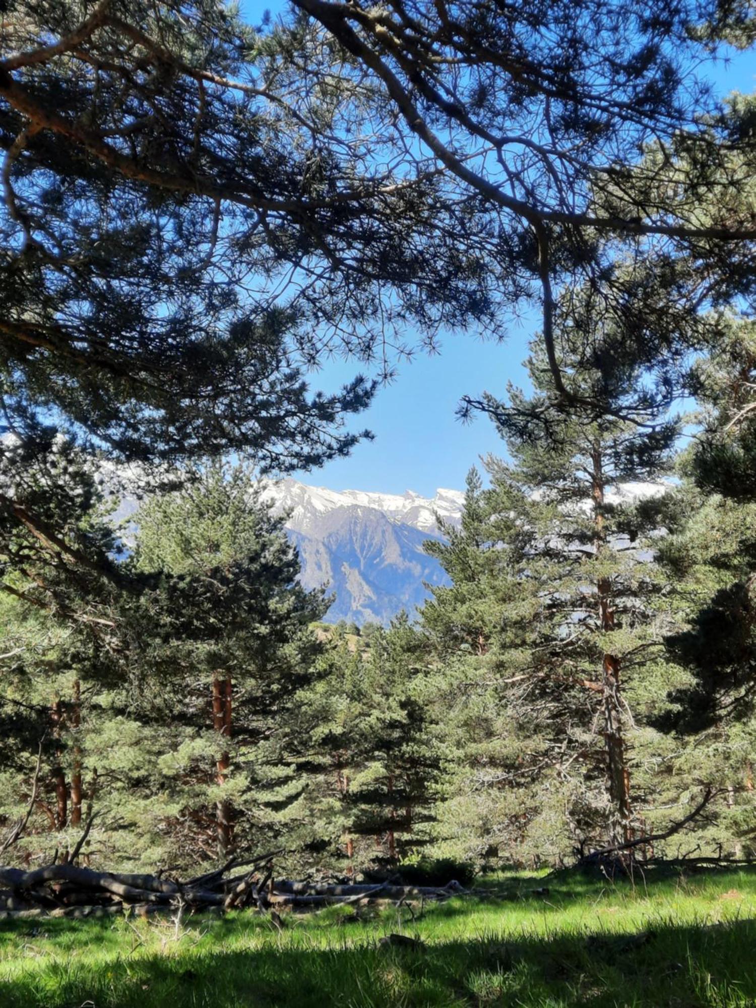 Appart Montagne 3 Etoiles Saint-Lary Station Saint-Lary-Soulan Dış mekan fotoğraf
